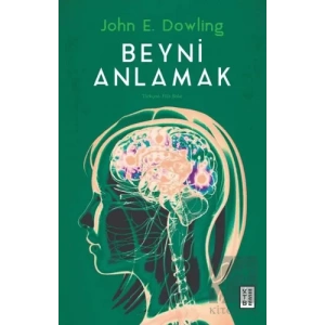 Beyni Anlamak