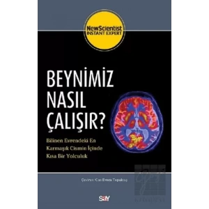 Beynimiz Nasıl Çalışır?