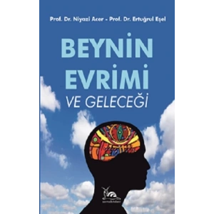 Beynin Evrimi