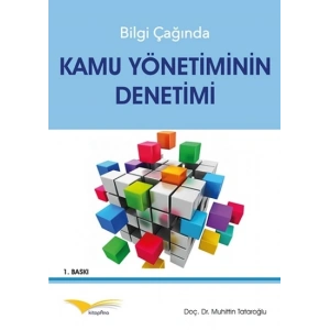 Bilgi Çağında Kamu Yönetiminin Denetimi