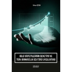 Bilgi Sistemlerinin Denetimi ve Türk Bankacılık Sektörü Uygulaması