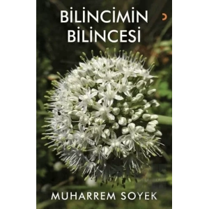 Bilincimin Bilincesi