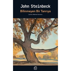 Bilinmeyen Bir Tanrıya