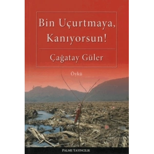 Bin Uçurtmaya, Kanıyorsun!