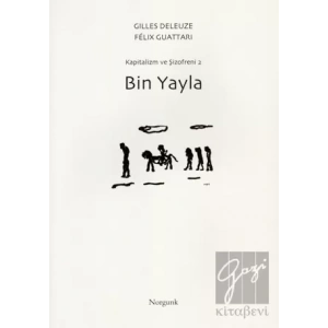 Bin Yayla
