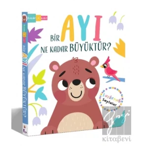 Bir Ayı Ne Kadar Büyüktür? – Kaydır + Keşfet