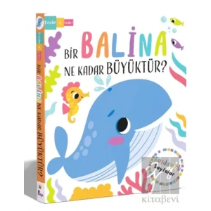 Bir Balina Ne Kadar Büyüktür?