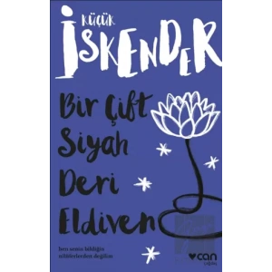 Bir Çift Siyah Deri Eldiven