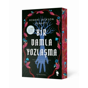 Bir Damla Yozlaşma