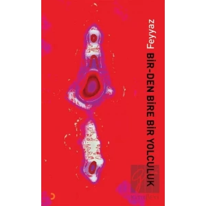 Bir-Den Bire Bir Yolculuk