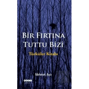 Bir Fırtına Tuttu Bizi