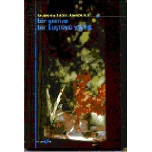 Bir Gamze Bir Kuştüyü Yastık