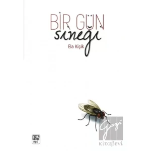 Bir Gün Sineği