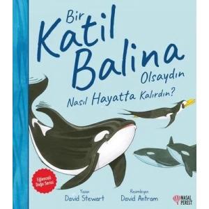 Bir Katil Balina Olsaydın Nasıl Hayatta Kalırdın?