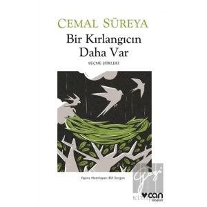 Bir Kırlangıcın Daha Var