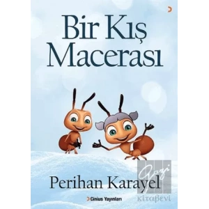 Bir Kış Macerası