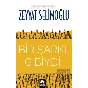 Bir Şarkı Gibiydi