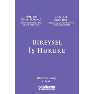 Bireysel İş Hukuku