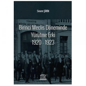 Birinci Meclis Döneminde Yürütme Erki