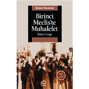 Birinci Mecliste Muhalefet: İkinci Grup