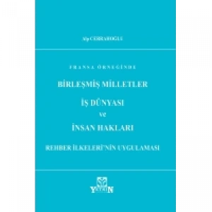 Birleşmiş Milletler İş Dünyası ve İnsan Hakları