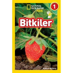 Bitkiler