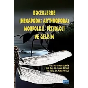 Böceklerde (Hexapoda: Arthropoda) Morfoloji, Fizyoloji ve Gelişim