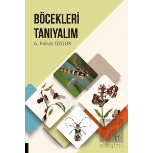 Böcekleri Tanıyalım