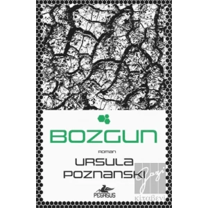 Bozgun
