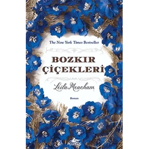 Bozkır Çiçekleri