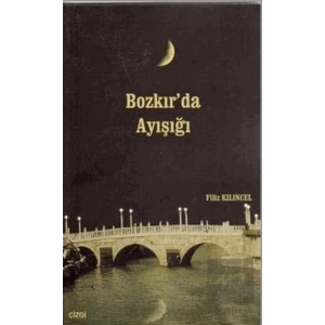 Bozkır’da Ayışığı