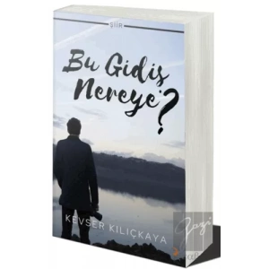 Bu Gidiş Nereye?