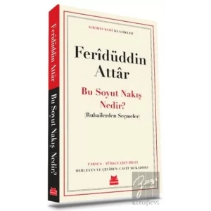 Bu Soyut Nakış Nedir?