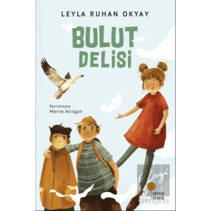 Bulut Delisi