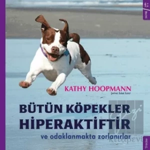 Bütün Köpekler Hiperaktiftir ve Odaklanmakta Zorlanırlar