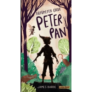 Büyümeyen Çocuk Peter Pan