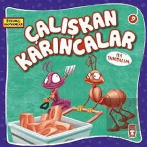 Çalışkan Karıncalar ile Tanışalım