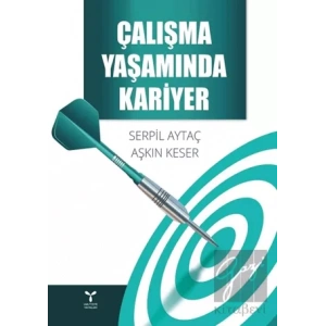 Çalışma Yaşamında Kariyer