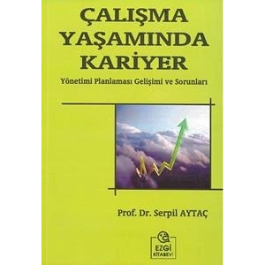 Çalışma Yaşamında Kariyer
