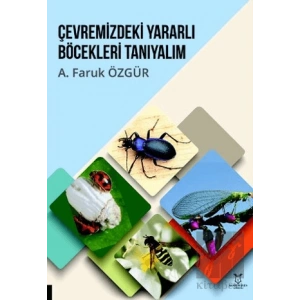 Çevremizdeki Yararlı Böcekleri Tanıyalım