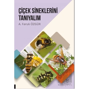 Çiçek Sineklerini Tanıyalım