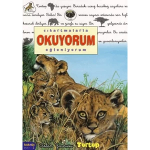 Çıkartmalarla Okuyorum Eğleniyorum - Aslan Yavrusu Tortop