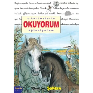 Çıkartmalarla Okuyorum Eğleniyorum -Küçük Tay Şahlan