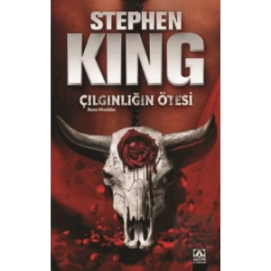 Çılgınlığın Ötesi