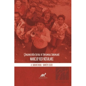 Çingenelerin Sosyal ve Toplumsal Sorunları