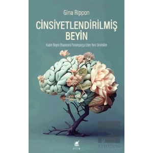 Cinsiyetlendirilmiş Beyin