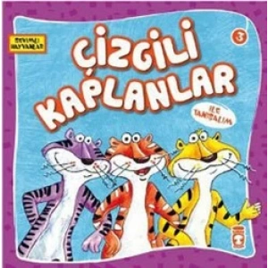 Çizgili Kaplanlar ile Tanışalım