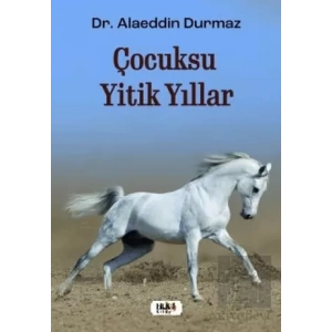 Çocuksu Yitik Yıllar