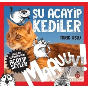 Daha da Küçükler İçin Şu Acayip Kediler - Daha da Küçükler İçin Acayip Şeyler 1