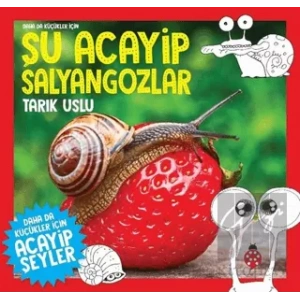 Daha da Küçükler İçin Şu Acayip Salyangozlar